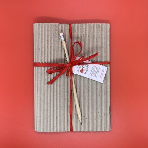 Kit quaderno + notes + lapis
