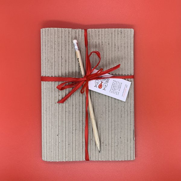 Kit quaderno + notes + lapis