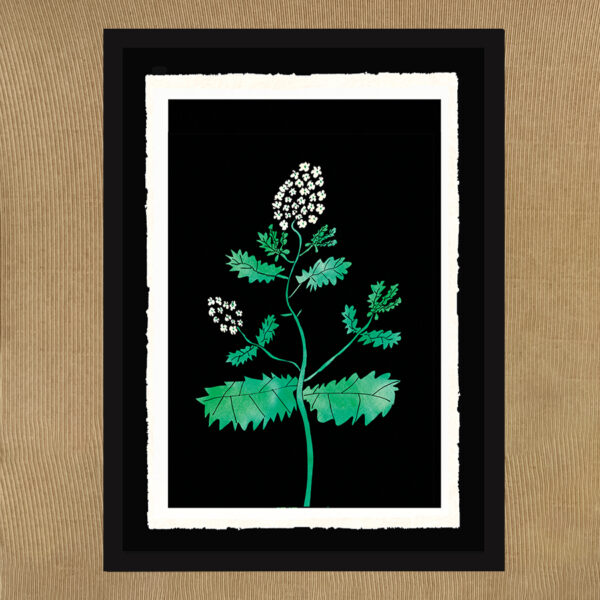 Fiori - L'Arte delle api - immagine 10