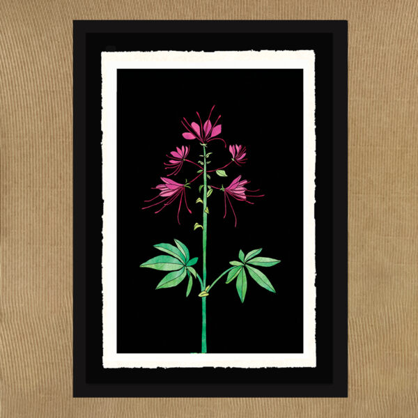 Fiori - L'Arte delle api - immagine 2