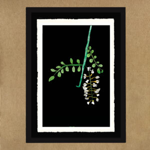 Fiori - L'Arte delle api